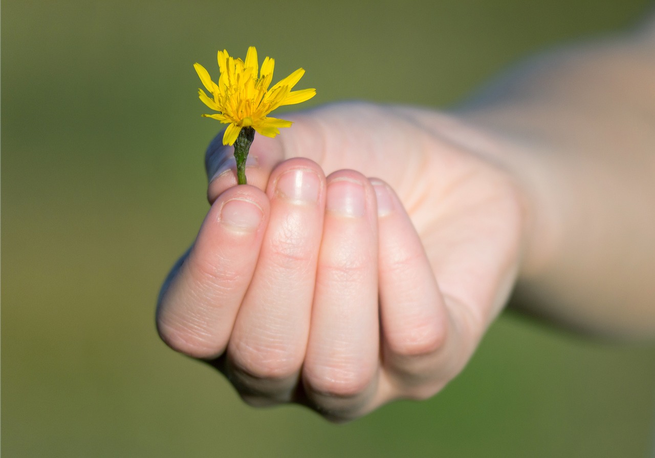 How Conscious Are We About Our Consciousness?